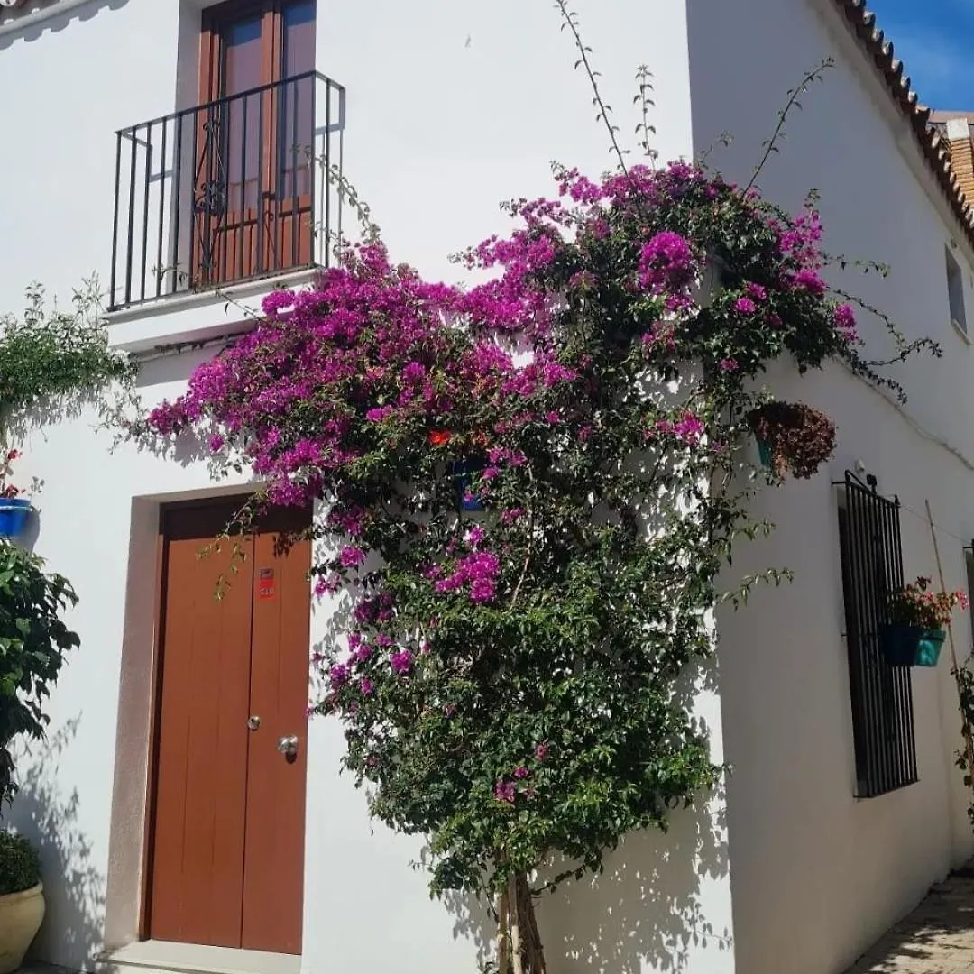 Apto Centro Historico Medieval Estepona 0*,